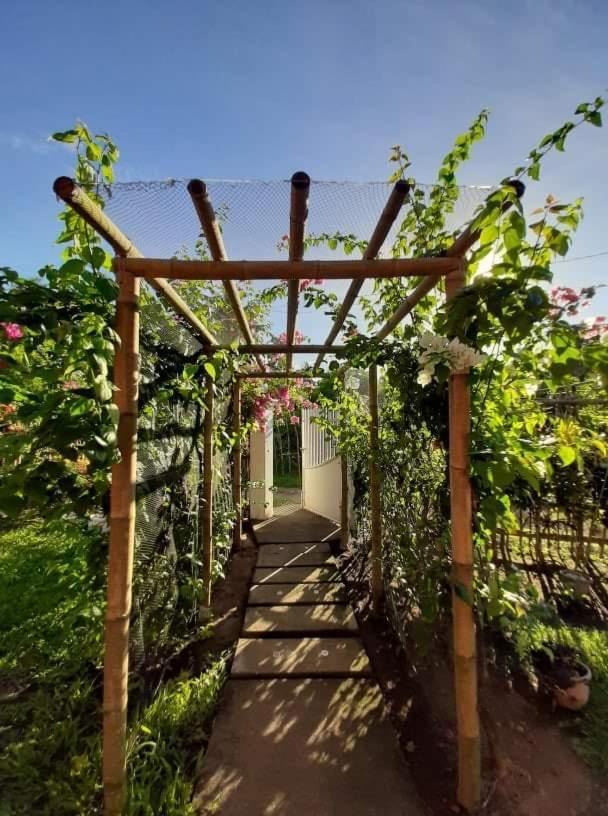 Dreamink Farm Og Myl'S Place Sorsogon Екстериор снимка