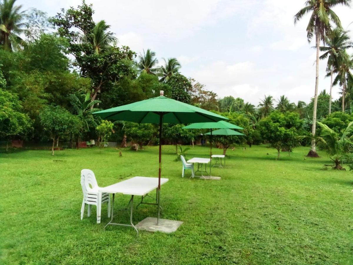Dreamink Farm Og Myl'S Place Sorsogon Екстериор снимка