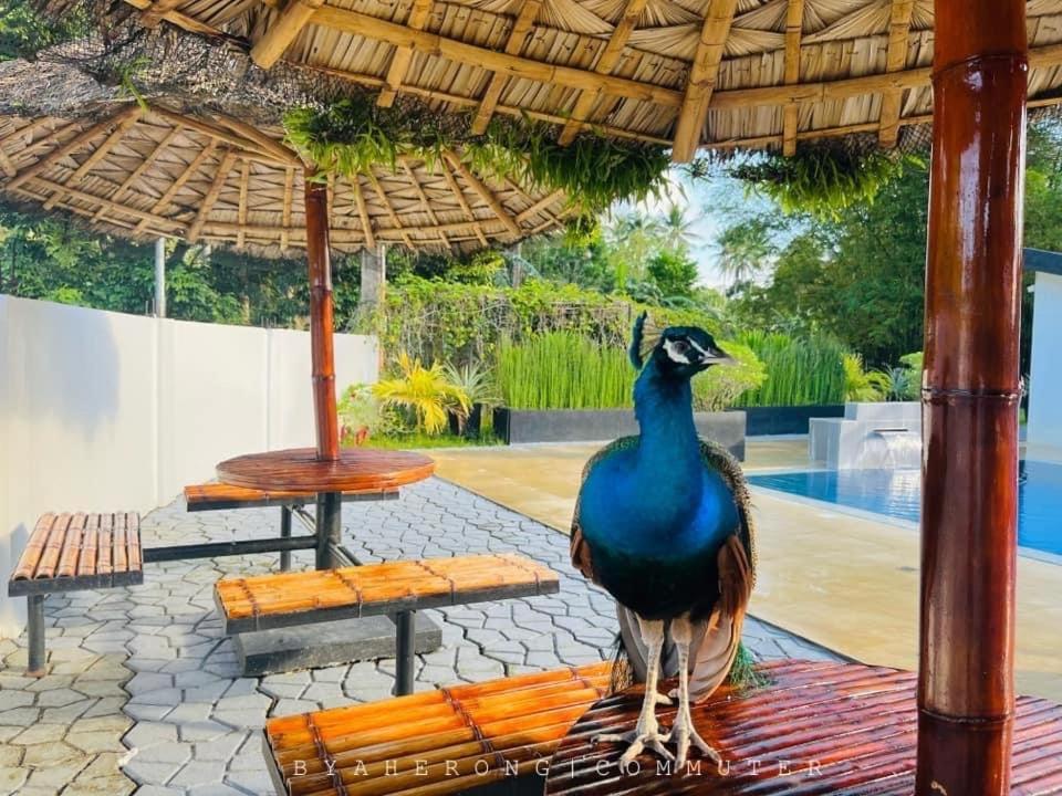 Dreamink Farm Og Myl'S Place Sorsogon Екстериор снимка