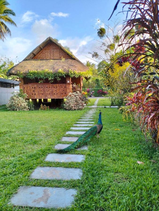 Dreamink Farm Og Myl'S Place Sorsogon Екстериор снимка